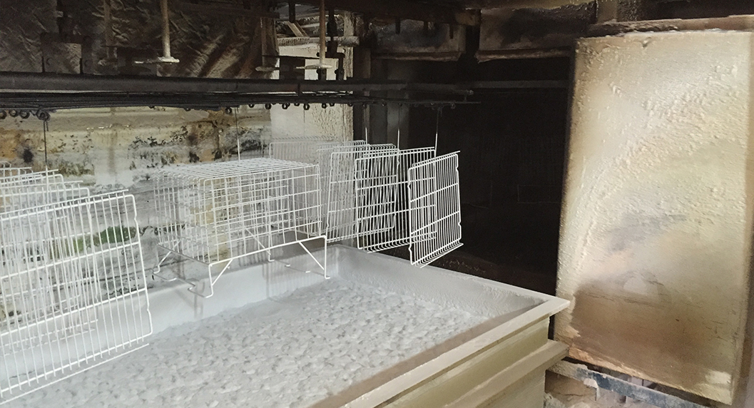 �����O��ʹ�ìF��